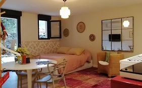 Studio en rez de jardin